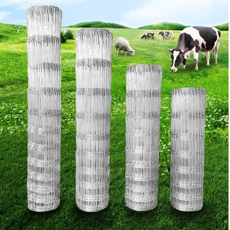 Rabbit Cage Wire - 1X50 미터 10-25cm 간격 가축 안티