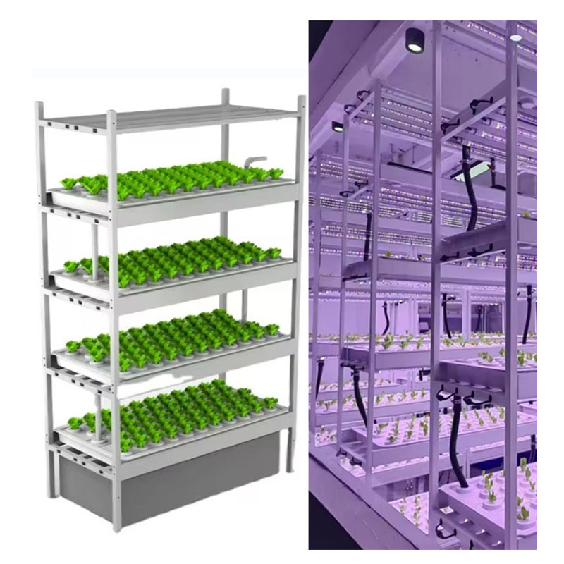 온실 농업 장비 버섯 채소 과일 재배 수직 농장 수경  - Agriculture Farming System 리뷰 및 가격