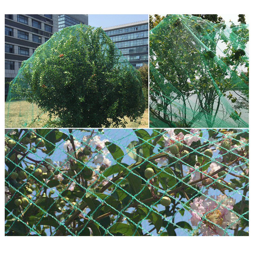 15M 안티 버드 네트 녹색 과일 채소 꽃 식물 보호망 - Agriculture Gardening Farming 리뷰 및 가격